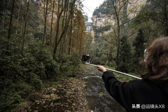 张家界国家森林公园的自然诗篇