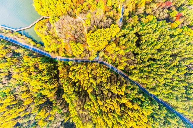 吉视界丨长春净月潭：斑斓林海绘就秋日画卷