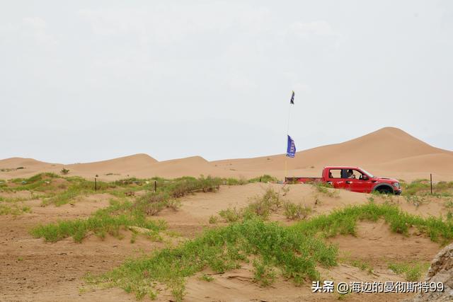 海边游记｜沙海狂飙与绿洲寻踪：内蒙古腾格里沙漠一日“历险记”
