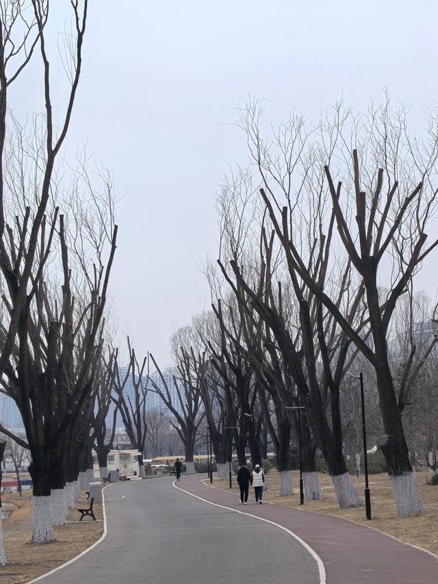 京都春寒中的感受