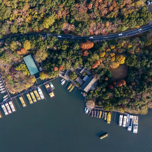 杭州秋冬的“多巴胺”美景来啦～