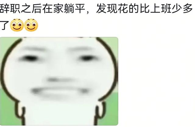 怎么用一句话形容今年工作难？我妈说已经供不起我上班了让我回家