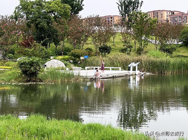 成都最近紫薇花公园，被严重低估，花开惊艳，地铁公交车直达！
