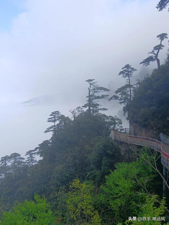 2025湖南行：仙气飘飘～莽山五指峰