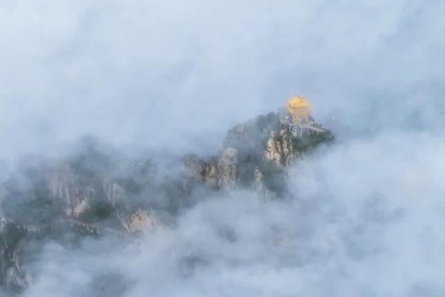 雨后清晨，老君山的云海也太！美！了！