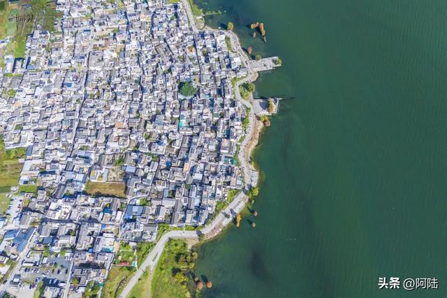 龙龛码头太有名，每天有很多人过来拍婚纱，但他们却不知道夫妻树