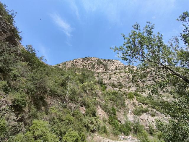 韩城伏峰川枝子庙