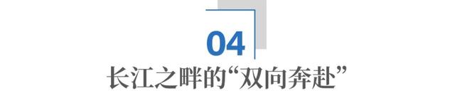 从荒草滩到“星光大道”：南京的互联网产业逆袭