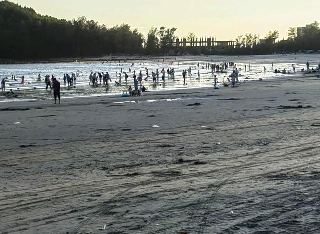 广东惠州海湾露营地你去过几个呢？很适合带小朋友来小众海滩！！