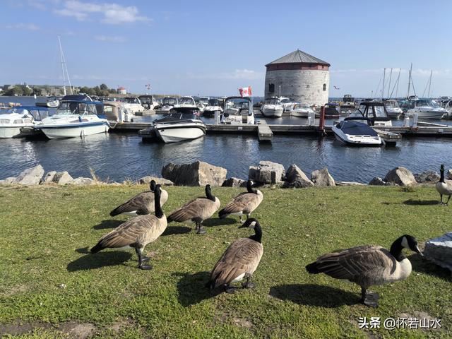 2025加拿大之旅日记(10)——船游千岛湖经金斯顿到多伦多