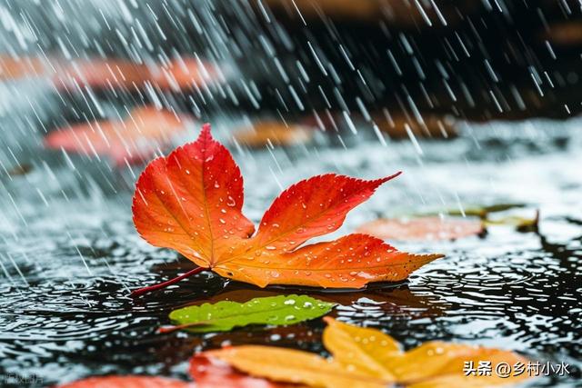 明日“秋分”，老人说最怕“秋分一日雨”，秋分下雨啥预兆？