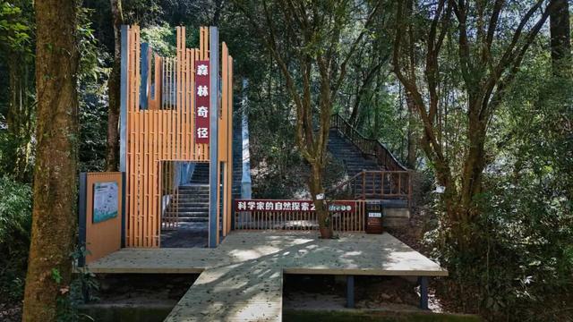 十五运会来韶关怎么玩？别愁！这3条“封神”路线让你一次打卡文化、野趣与田园，爽翻！