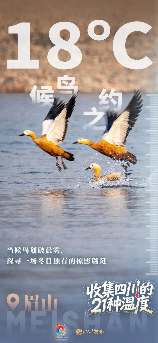 这个冬天来四川！每一“度”都好玩~