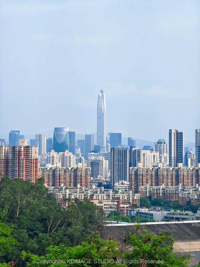 深圳徒步！超适合新手小白的3条郊野径路线，地铁公交直达还免费