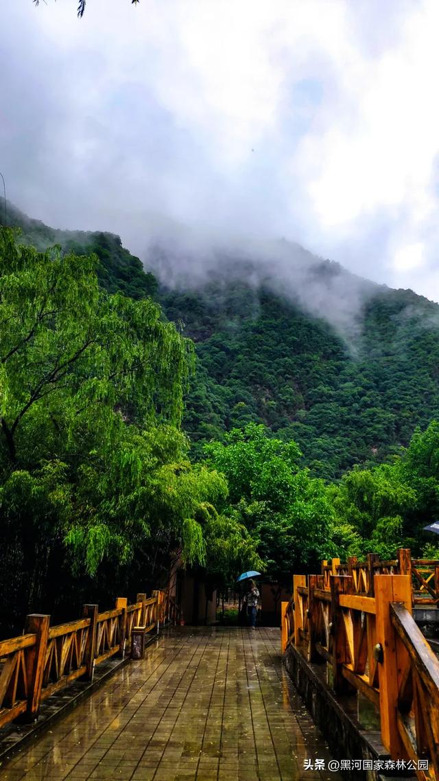 来一场「云赏黑河」之旅！听雨观山，神游林海