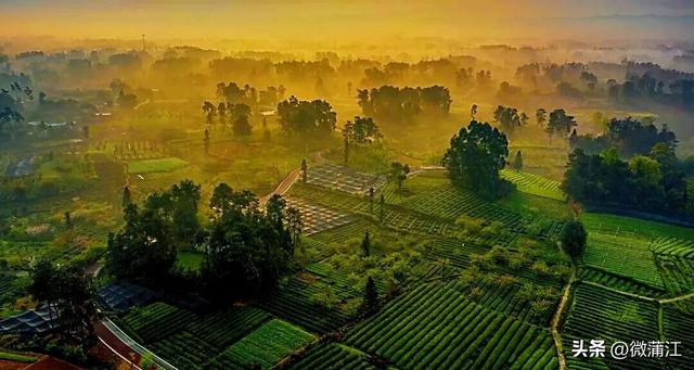 “骑”遇惊喜，快来成都蒲江“醉氧”绿道，开启你的追风之旅！