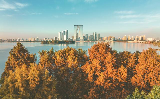 金鸡湖畔秋日艺术盛宴！共赴浪漫的多维时空之旅
