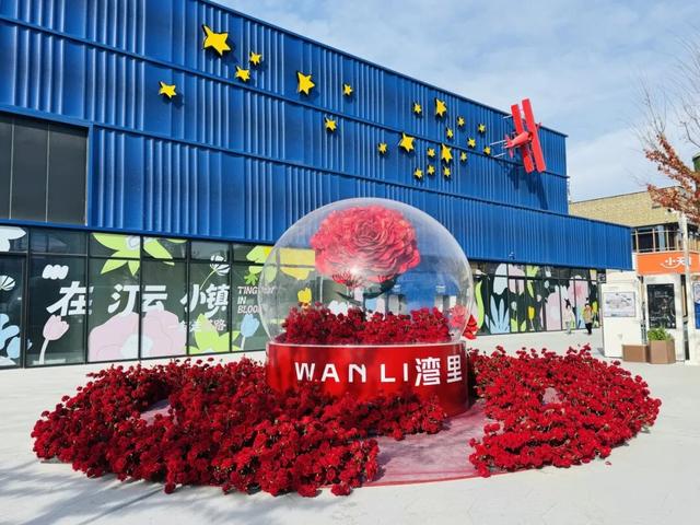 一路生花！世界级旅游目的地“崛起记”