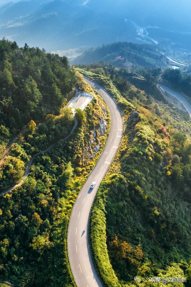 别去日本了！新洲的“同款”风景，美得更懂你