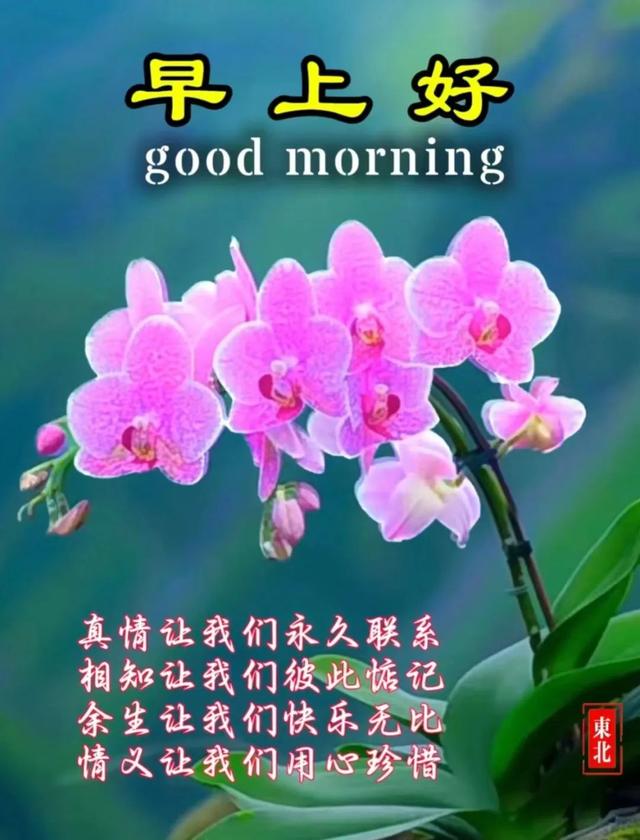 每日100句吉祥祝福语，最美的问候语大全，祝福朋友们快乐吉祥