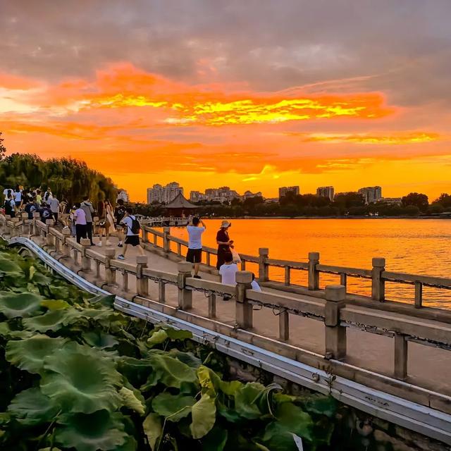 济南“顶流”新家位置在这儿！打卡人流量堪比春节灯会，给您细数诸多看点！