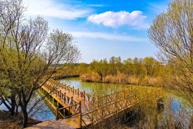 【黄河口生态旅游区】错峰出游 感受正月里的“松弛感”！