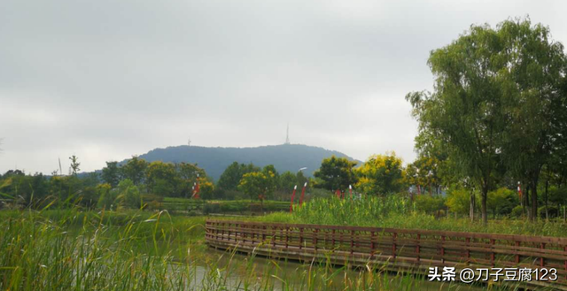 大蜀山列入合肥市文化遗产保护名录