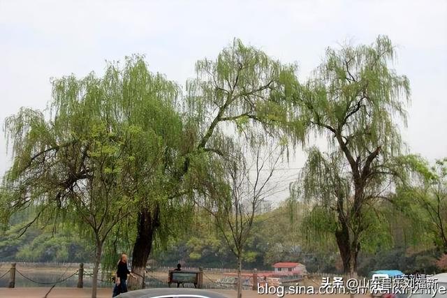 从九江到南昌：我的见闻与感慨 （江西之旅第十六篇）