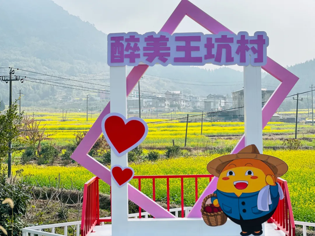 超级出片！福清这里有金色花海！