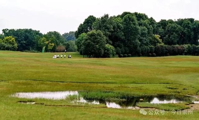 秋假去哪？崇州这些亲子游宝藏地不容错过