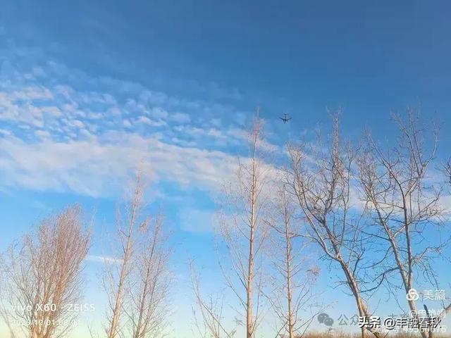 初冬北京朝阳坝河金盏淀:清寒里的静美画卷|申艳娟