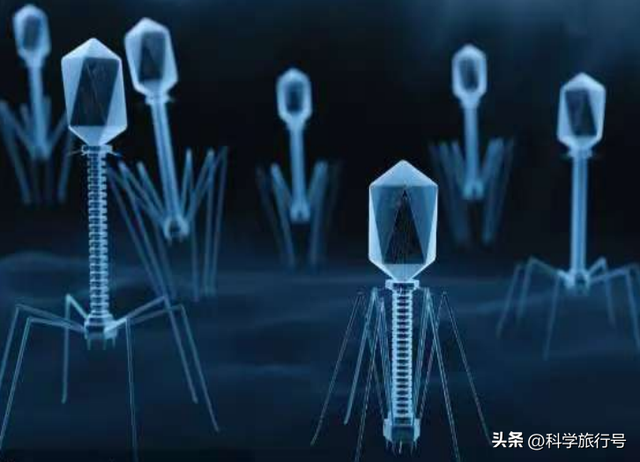 诞生于38亿年前的纳米机器人，揭秘地球上最强大的病毒“噬菌体”