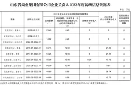 山东部分省属企业负责人薪酬披露图片