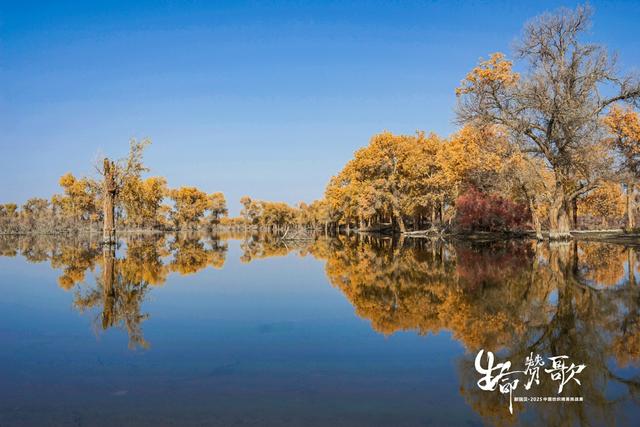 重返新疆，再铸辉煌 新瑞贝·2025中国纺织精英挑战赛走进大美尉犁