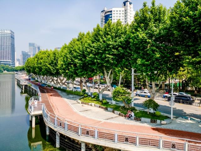 夏日荟聚游武昌，双湖桥片区“水清岸绿”颜值再提升