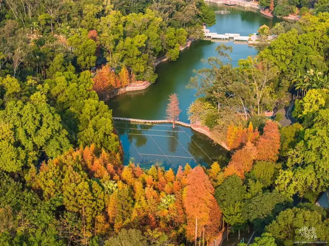 珠海在哪里可以寻找到秋天甚至赏秋？