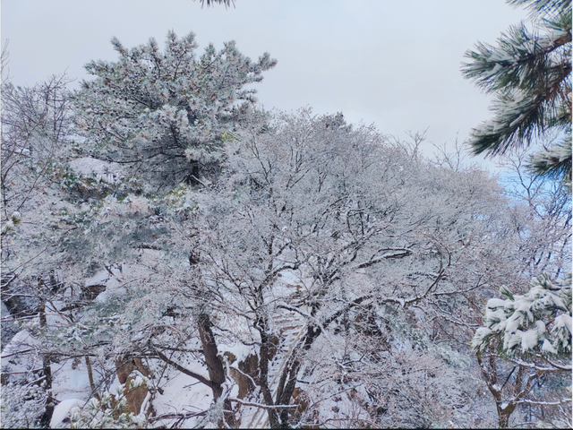 告别秋景，奔赴鸡峰山的第一场雪｜冬日旅行启动