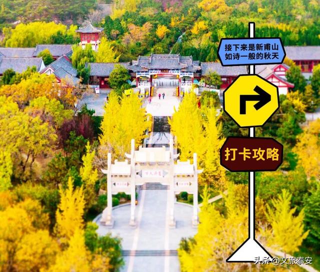 从栾树到彩林，每一步都是心动！新甫山向你发出赏秋邀请函~