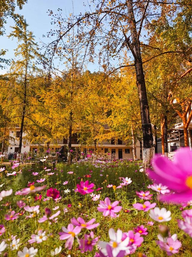 别卷作业了，卷卷大自然！韶关秋日研学，让娃成为朋友圈最酷的崽