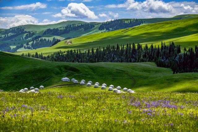 “魅力伊宁·和美杏乡”2025伊宁县文旅推介会在成都成功举办