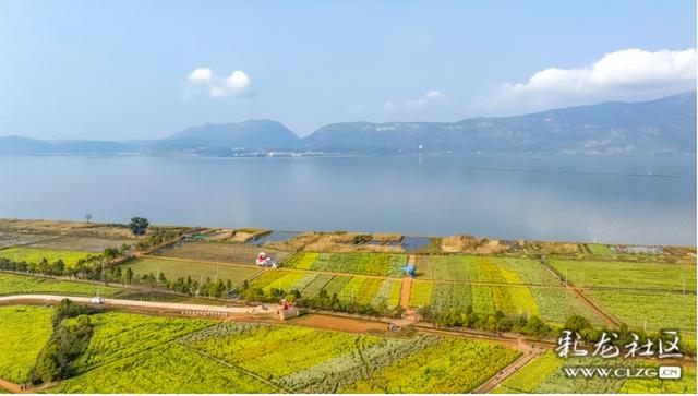 旅居云南·昆明好在（二十）来绿美春城，“氧”你