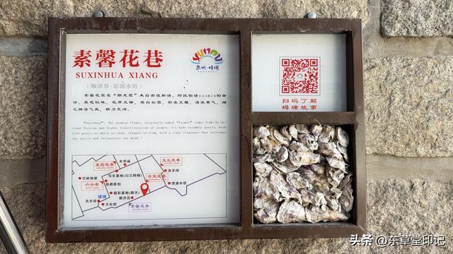 簪花围里的千年渔村：泉州蟳埔村沉浸式体验全攻略