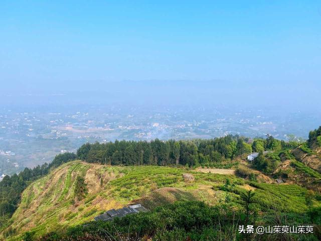 2023年春重庆探亲游（上篇）