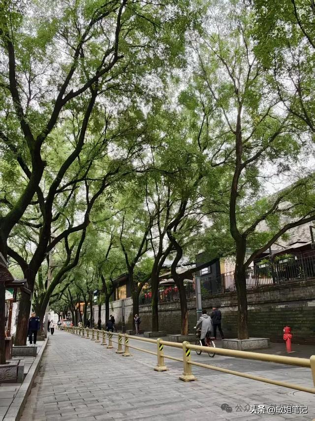 【西安游学之五】城市骑行:盛唐光影与市井烟火的交响