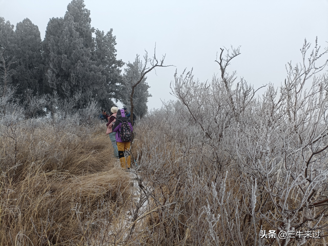 无为在歧路，何处寻雾凇