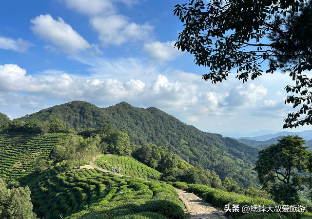 想改善身心疲惫？来杭州“山脊”古道吧，真徒步天堂，老少咸宜！