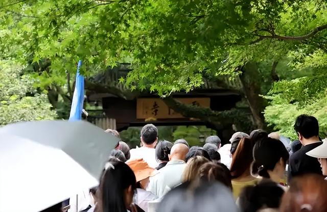 取消门票后游客涨3倍！杭州这步棋，其他城市学得来吗