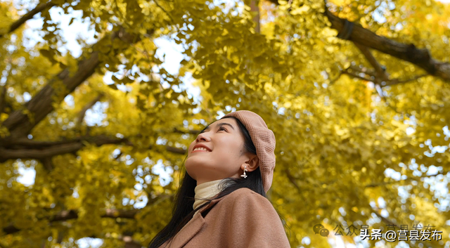 首日突破10000人！浮来山银杏季从从容容花式“宠客”！