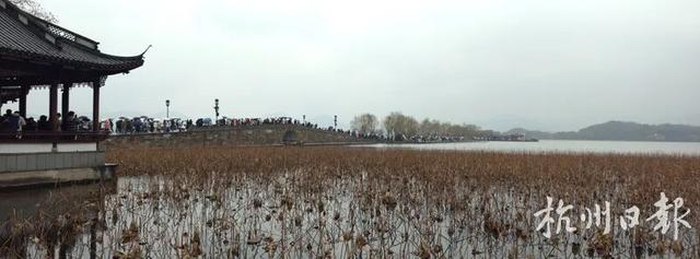 此刻断桥！人人人人雪人人人人人！有人拎着行李箱就来了：太惊喜了