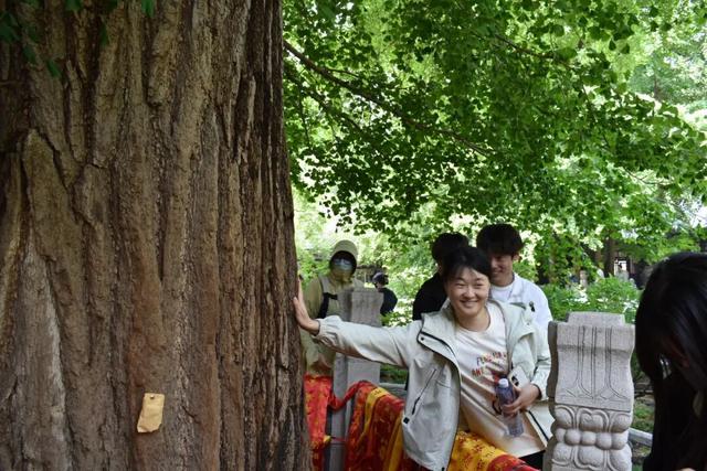 北京工商大学MBA潭柘寺实践调研之旅圆满收官